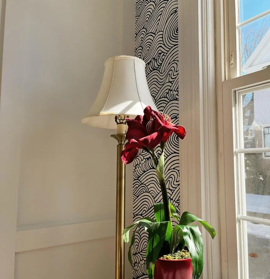 Otel Queen Anne's Revenge 3*