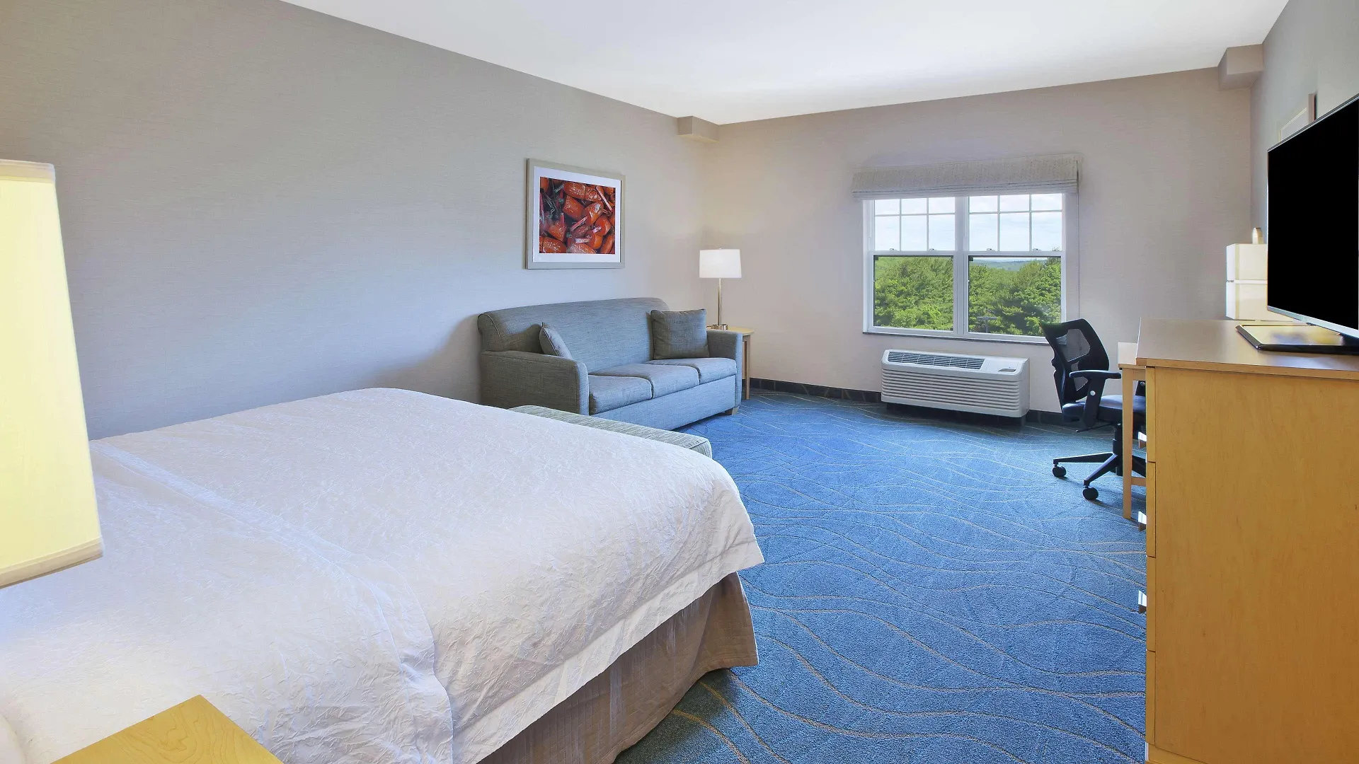 Hotel Hampton 3*