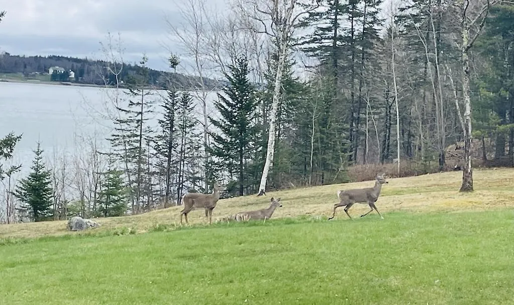 Holiday home With A Private In Acadia National Park Bar Harbor