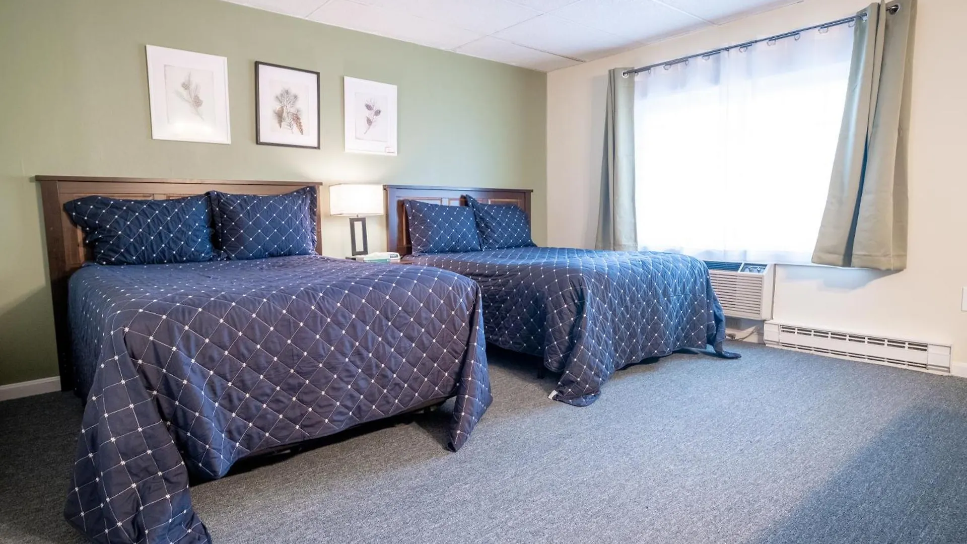 Acadia Pines Motel Bar Harbor