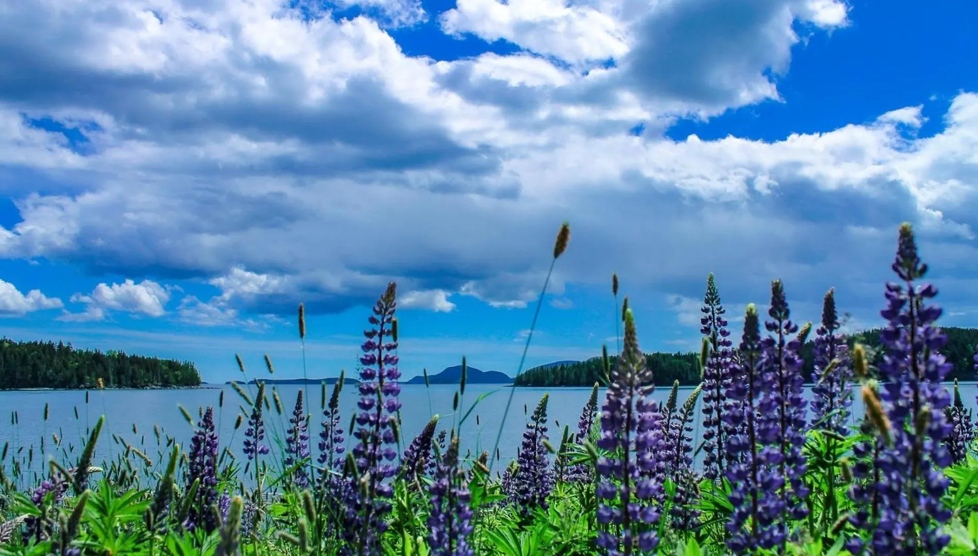 Holiday home Hikers Dream Bar Harbor