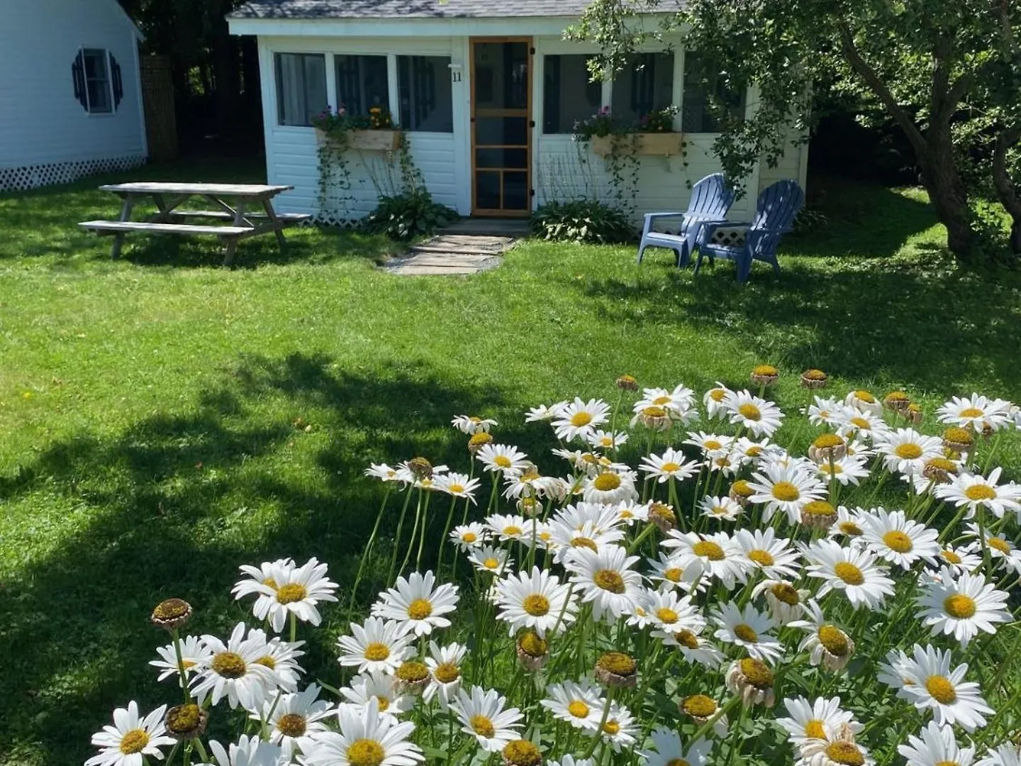 & Holiday home