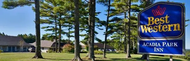 Western Acadia Park Motel Bar Harbor