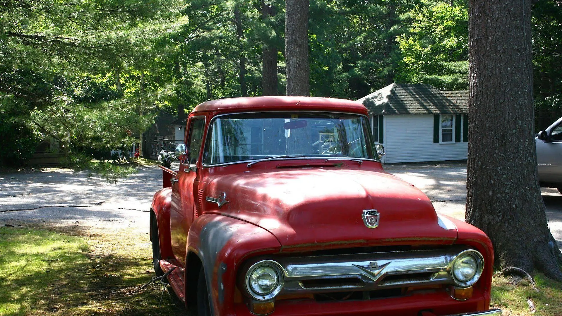 Hinckleys