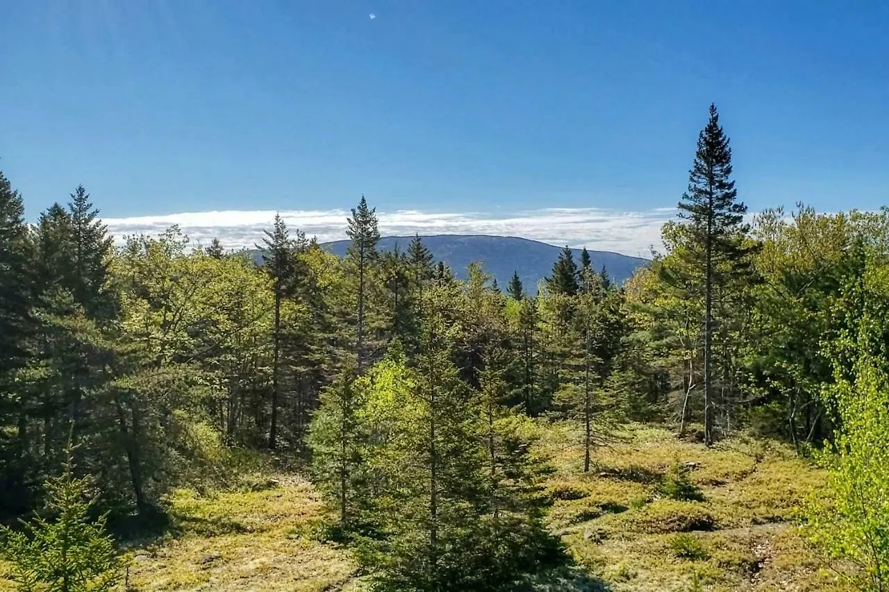 Cadillac Mountain Overlook Holiday home *