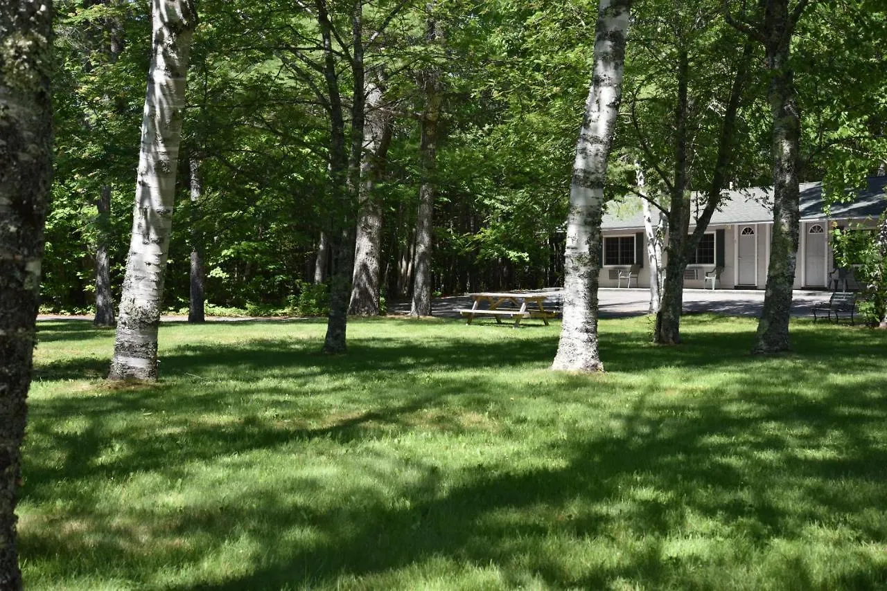 Acadia Pines מוטל