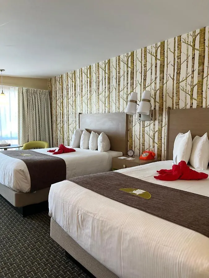 Bar Harbor Motel 3*