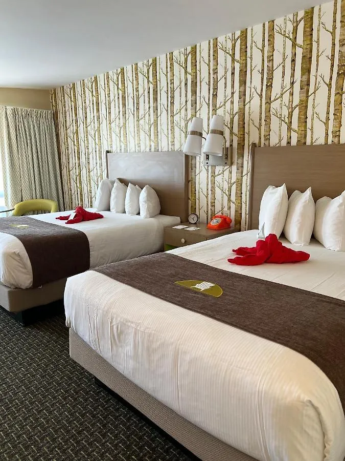 מוטל Bar Harbor Motel