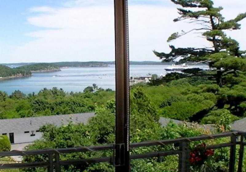 Wonder View