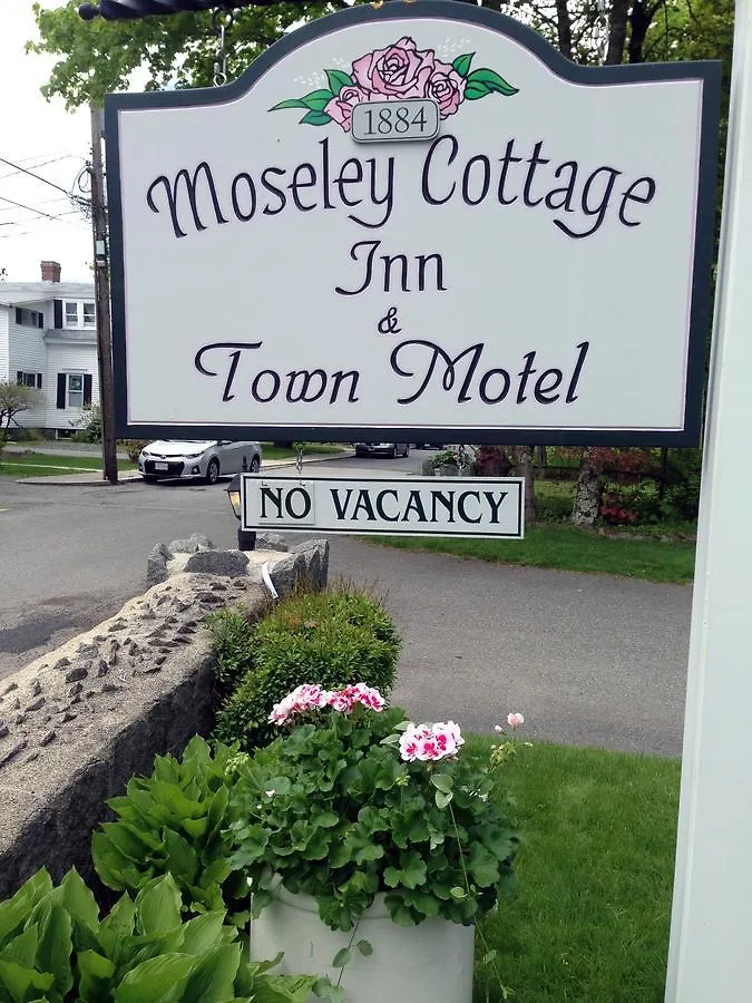 Moseley And The Town